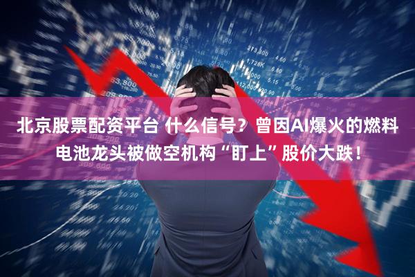 北京股票配资平台 什么信号？曾因AI爆火的燃料电池龙头被做空机构“盯上”股价大跌！