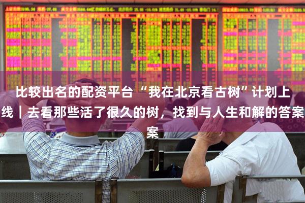 比较出名的配资平台 “我在北京看古树”计划上线｜去看那些活了很久的树，找到与人生和解的答案